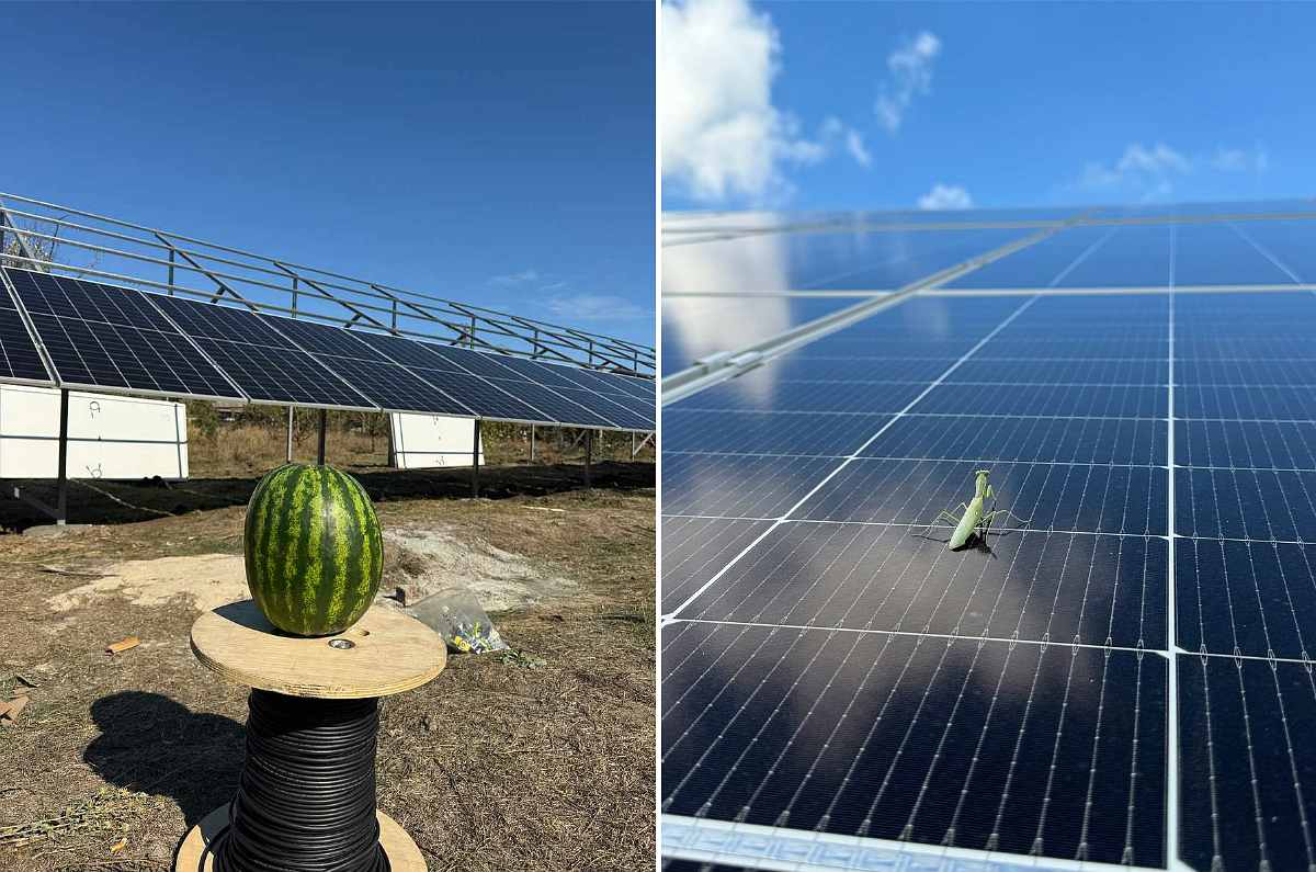 Сонячна електростанція